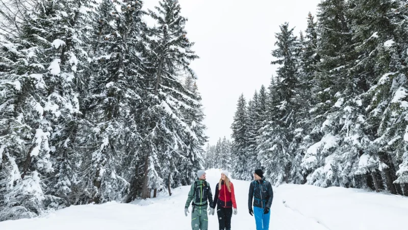 © TVB Ramsau am Dachstein