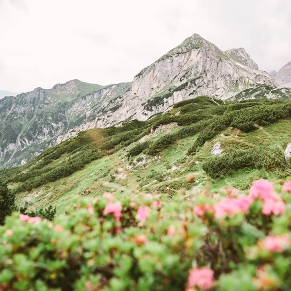 © TVB Ramsau am Dachstein