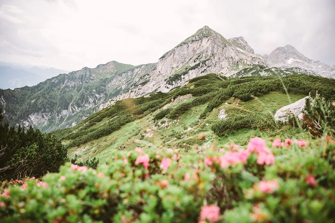 © TVB Ramsau am Dachstein