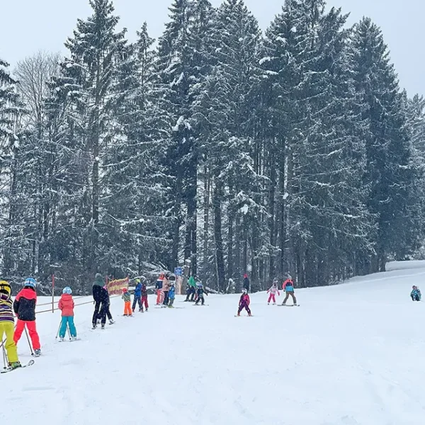Lyžařský areál Wiesing