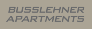 Achensee-logo Busslehner