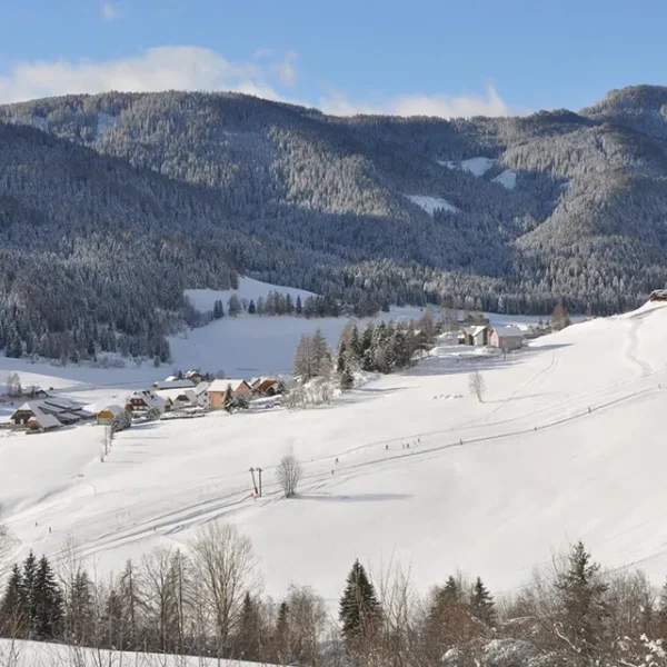 Tockneralmlifte