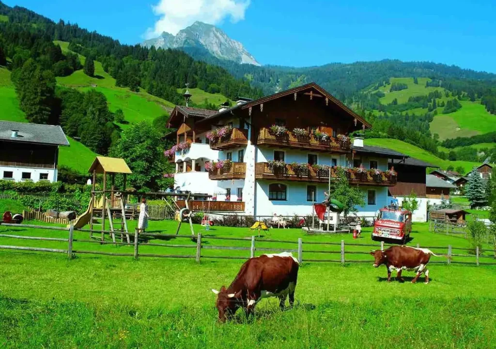 © Die Unterbergerin
