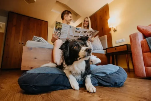 Dvoulůžkový pokoj "Labrador"