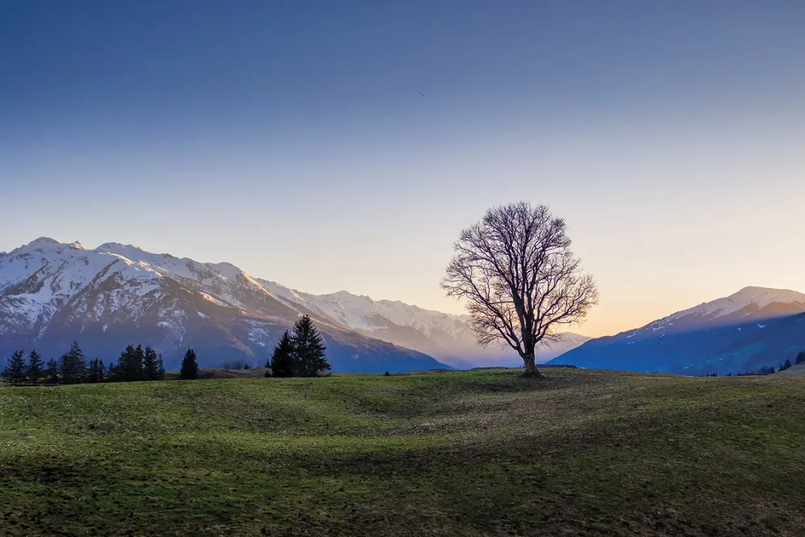 © TVB Mittersill Plus