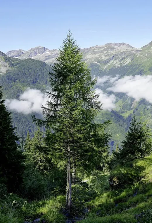 © TVB Uttendorf / Weißsee Gletscherwelt